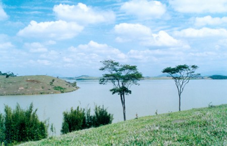 Foto de Marcelo Figueiredo